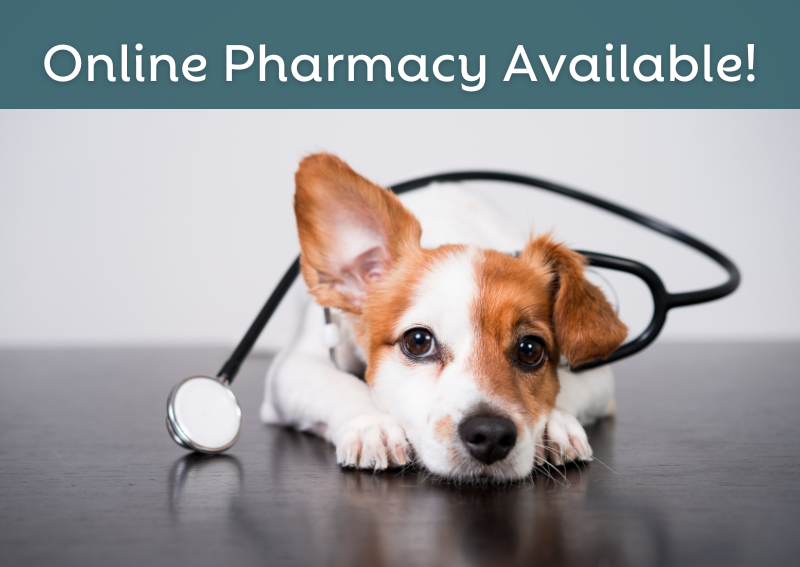 Carousel Slide 2: Check out our new and improved online pharmacy
